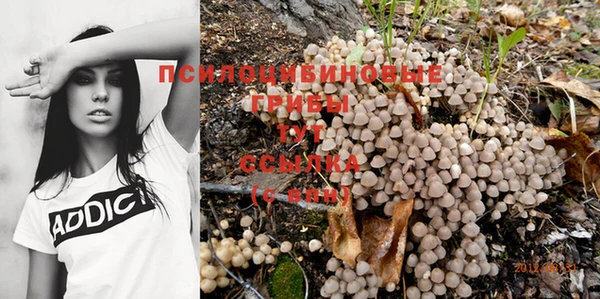 таблы Армянск